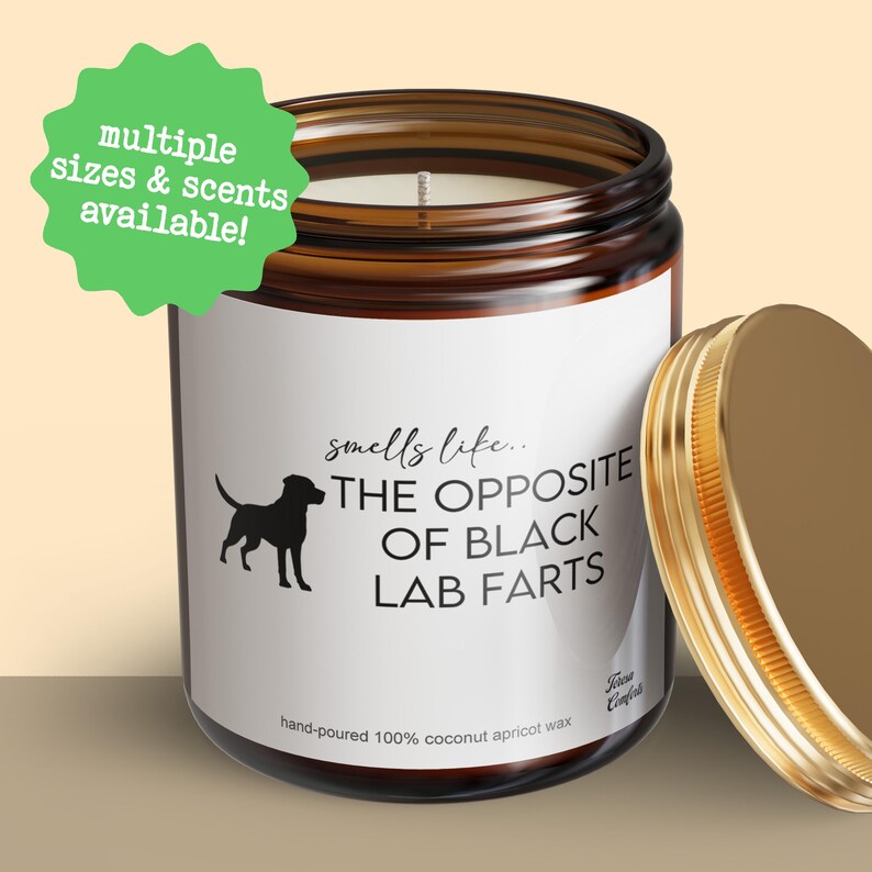 Black Lab Gifts, Labrador Gifts, Black Lab Mom, Black Lab Candle, Smells Like The Opposite Of Black Lab Farts, Lab Lover, Valentine Gift image 3