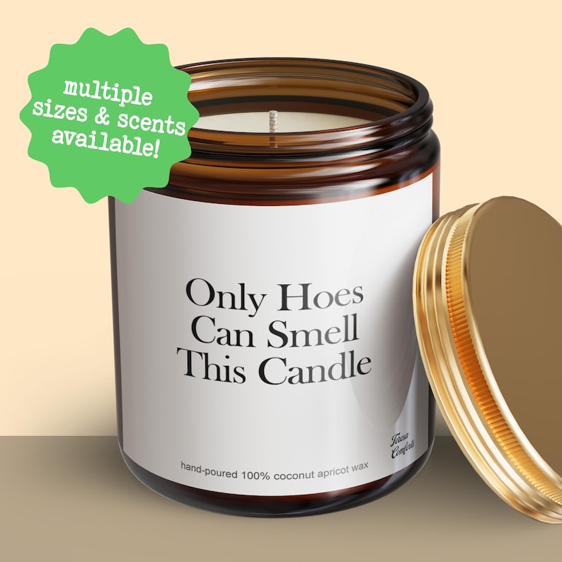 Only Hoes Can Smell This Candle , Funny Candles, Joke Gifts For Her, Best Friend, Sarcastic Gag Gift, Girlfriends Gf Gifted, Gift For Bestie image 1