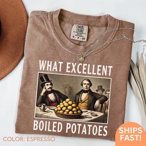 Boiled Potatoes Funny Meme Shirt, Pride and Prejudice Sweatshirt, Fitzwilliam Darcy Tee, Elizabeth Bennet Ring Dress, Bennet Doll C244