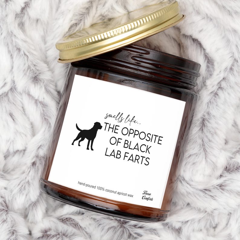 Black Lab Gifts, Labrador Gifts, Black Lab Mom, Black Lab Candle, Smells Like The Opposite Of Black Lab Farts, Lab Lover, Valentine Gift image 1