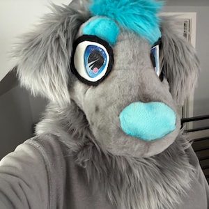 May include: A gray dog fursuit head with blue accents. The muzzle and inner ears are light blue, and the eyes have a detailed design. The fur is long and fluffy, and the overall appearance is friendly and inviting.