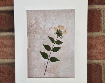 Handmade Dried Flower Collage in White Chic Frame