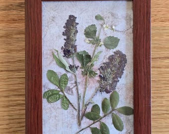 Handmade Dried Flower Collage in Chic Wooden Frame