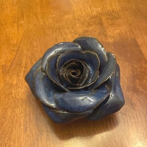 Midnight Bloom