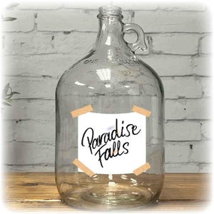 UP Inspired PARADISE FALLS Adventure Honeymoon Fund | Label Sign | Printed Waterproof Die-cut Sticker