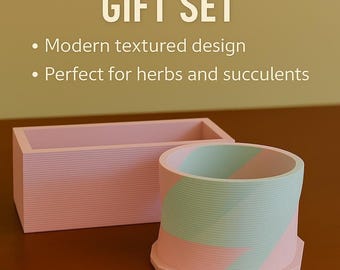 Modern Indoor Planters