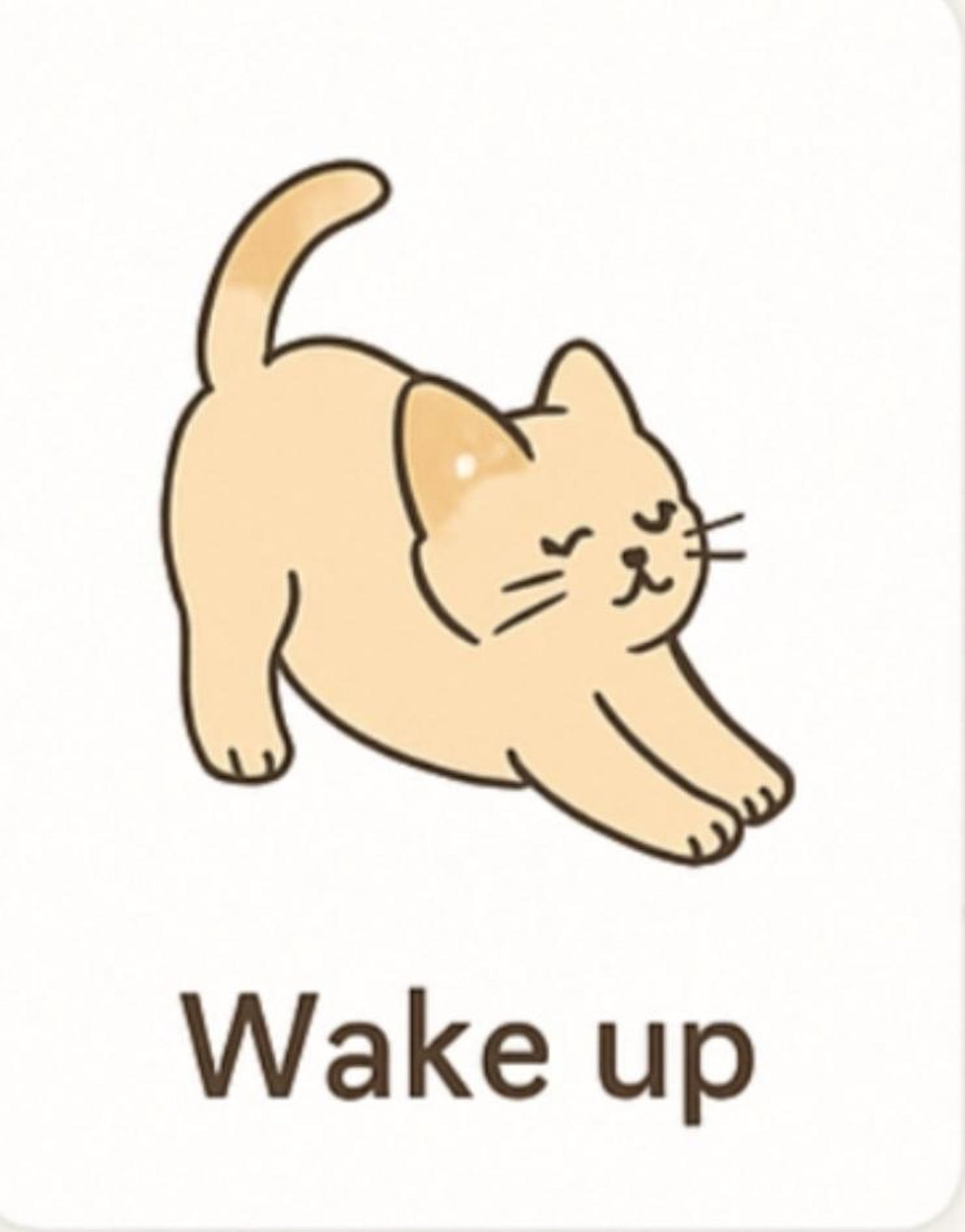 Cat Health Morning Routine preview