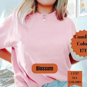 blossom comfort colors shirt, 1717 garment dyed soft pink tee, unisex pastel pink t-shirt, vintage aesthetic blossom shirt, soft cotton pink blank tee, dtg ready blossom shirt, embroidery and sublimation pink shirt, screenprint blossom tee, custom pink comfort colors shirt, relaxed fit soft blossom tee, faded pink cotton shirt for casual wear, pink garment dyed tee, blossom shirt for printing or embroidery, blank light pink t-shirt, washed look blossom comfort colors tee
