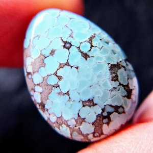 May include: A polished, oval-shaped turquoise gemstone featuring a vibrant sky-blue color with intricate, dark brown matrix webbing throughout the surface. The stone has a smooth, rounded dome top and a glossy finish that reflects light across its surface.