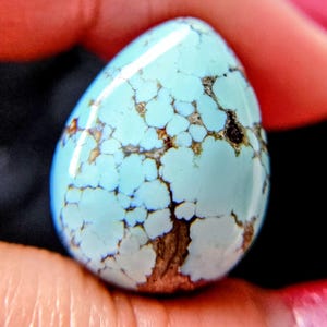 May include: A polished, teardrop-shaped turquoise gemstone with a unique pattern of brown and white veining. The stone's surface is smooth and glossy, reflecting light. The gemstone is held between fingers.