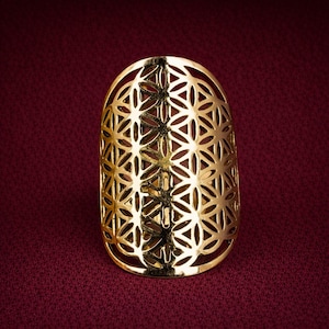 May include: A gold-colored ring with an openwork design featuring a repeating floral pattern. The ring has an elongated oval shape and is set against a burgundy background.