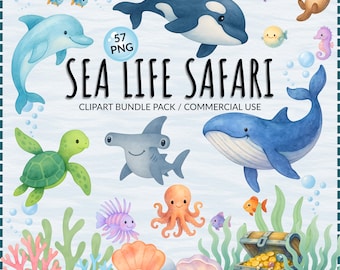 May include: Watercolor illustration of various sea creatures, including a dolphin, orca, whale, sea turtle, octopus, and fish. The words "SEA LIFE SAFARI" are displayed with the text "CLIPART BUNDLE PACK / COMMERCIAL USE".