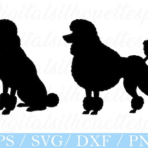 Poodle Dog Svg, Poodle Dog Silhouette, Poodle Dog Vector, Dxf, Png