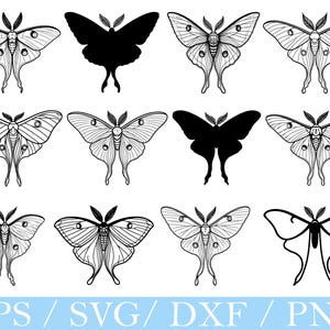 Luna Moth Svg, Moth Silhouette, Moth Vector, Moth Dxf, Png