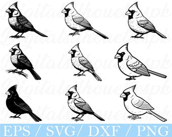 Pájaro cardenal delineado SVG: Gráficos vectoriales de silueta (descarga digital)