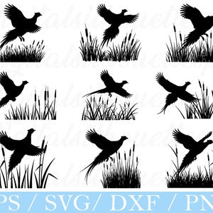 May include: A collection of black pheasant silhouettes in various poses, some in flight, others perched near tall grass and reeds. The image includes the text "EPS / SVG / DXF / PNG" in a blue banner at the bottom, suggesting digital design files.