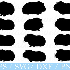 May include: A collection of black guinea pig silhouettes in various poses. Each silhouette shows the guinea pig's body shape, whiskers, and small ears. The image includes the text "EPS / SVG / DXF / PNG" in a light blue banner at the bottom.
