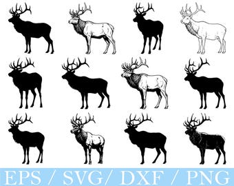 Rensilhuett SVG, DXF, PNG-klippfiler (digital nedladdning)