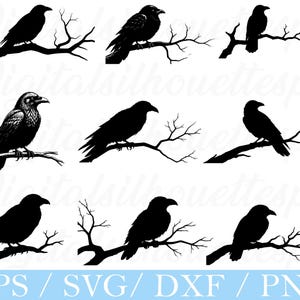 Kraai zittend op tak Svg, kraai silhouet, dxf, png