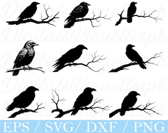 Crow Sitting on Branch Svg, Crow Silhouette, Dxf, Png