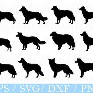 May include: A collection of black silhouette images of a dog, likely a Collie or similar breed, in various poses. The images are set against a white background. The bottom of the image includes the text "EPS / SVG / DXF / PNG".