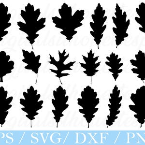 Puede incluir: Una colección de siluetas de hojas de roble negras en varias formas y tamaños, perfectas para manualidades y diseños con temática otoñal. La imagen incluye el texto "EPS / SVG / DXF / PNG" en la parte inferior, indicando formatos de archivo.