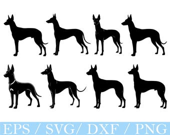 Pharaoh Hound Dog Hund Illustration, Pharaoh Hound Dog Silhouette, Dxf, Png
