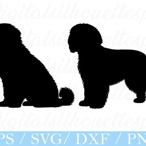 Cotton De Tulear Dog Svg, Cotton De Tulear Dog Silhouette, Dxf, Png
