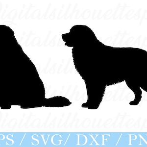 Berner sennenhund SVG: Silhuettvektorgrafik (digital nedladdning)