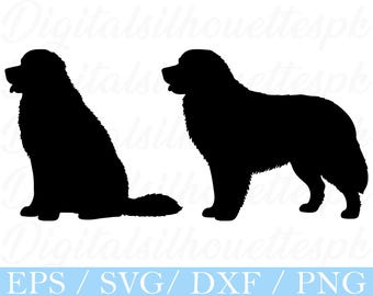 ステンレス製 バーニーズマウンテンドッグ シルエット メッセージプレート バーニーズ・マウンテン・ドッグ SVG: シルエット ベクター