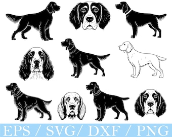 English Setter Dog Svg, English Setter Dog Vector, Dxf, Png