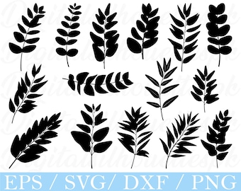 Eukalyptusblatt SVG, Eukalyptusblatt Silhouette, Dxf, Png