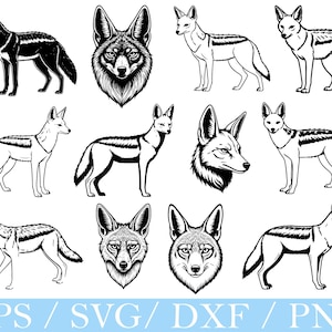 Jackal Svg, Jackal Silhouette, Jackal Vector, Jackal Dxf, Png