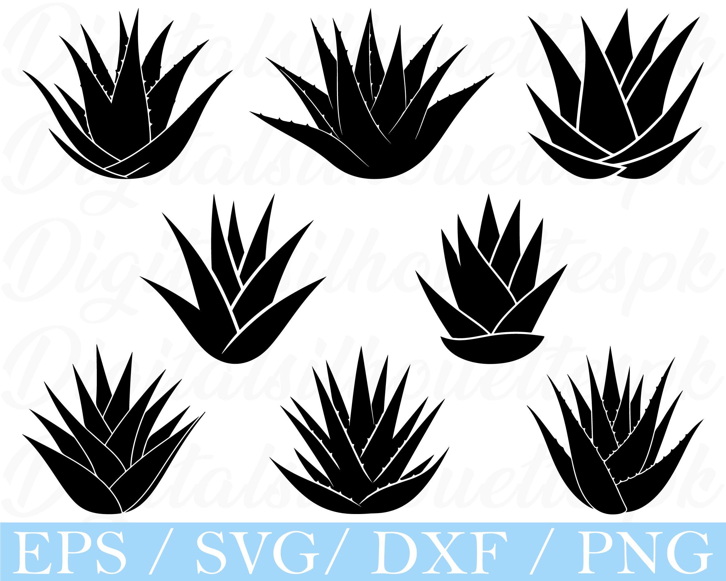 agave tequila bottle Reposado Agave Spirit main image 0