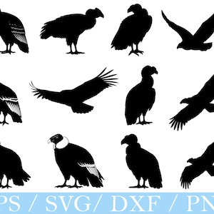 Condor Bird Svg, Condor Bird Silhouette, Condor Bird Vector, Dxf, Png