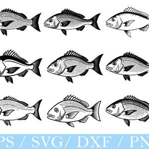 Röd snapperfisk svg, röd snapperfisk silhuett, dxf png