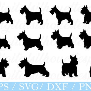 Pode incluir: Uma coleção de silhuetas pretas de cães Scottish Terrier em várias poses. A imagem inclui múltiplas representações do cão, cada uma com uma postura distinta, contra um fundo branco. O texto "EPS / SVG / DXF / PNG" é exibido na parte inferior.