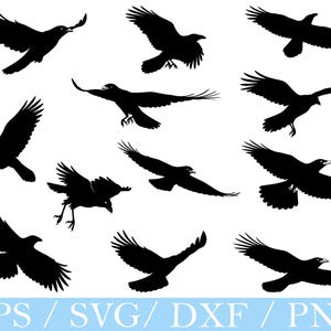 Flying Crow Svg, Crow Silhouette, Crow Vector, Dxf, Png