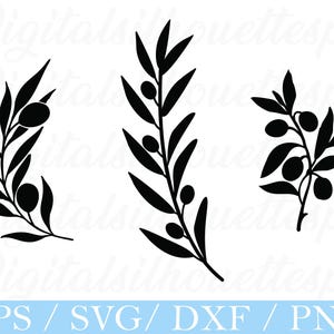 Olivkvistar Svg, Olivkvist Silhuett, Dxf, Png