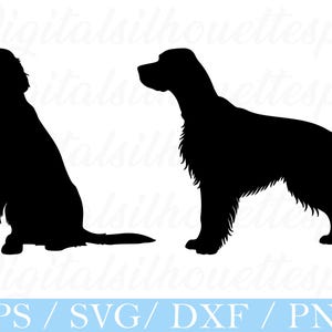 English Setter Dog Svg, English Setter Dog Silhouette, Dxf, Png
