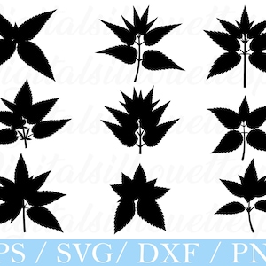 May include: A collection of nine black leaf silhouettes in various arrangements. The leaves have a jagged edge and are displayed against a white background. The bottom of the image contains the text "EPS / SVG / DXF / PNG".