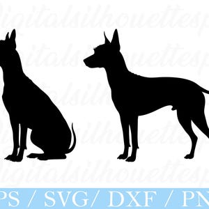 Mexican Hairless Dog Svg, Mexican Hairless Dog Silhouette, Dxf, Png
