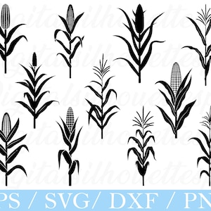 May include: Black and white digital silhouette illustrations of corn stalks in various stages of growth. The image includes corn stalks with ears of corn and others without, perfect for crafting projects. The text at the bottom reads "EPS / SVG / DXF / PNG".