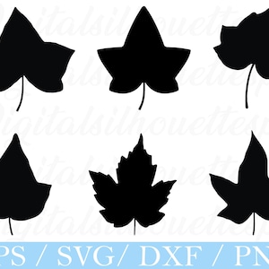 Puede incluir: Seis siluetas de hojas negras de diversas formas, cada una con un tallo, sobre un fondo blanco. El texto "EPS / SVG / DXF / PNG" se encuentra en la parte inferior de la imagen.