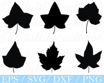 Efeu Blatt Silhouette, Efeu Zweig Silhouette, Dxf, Png - Etsy.de