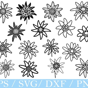 Puede incluir: Una colección de ilustraciones estilizadas de flores de edelweiss en blanco y negro. La imagen presenta varios diseños de la flor, con pétalos detallados y centros florales. La parte inferior de la imagen incluye el texto "EPS / SVG / DXF / PNG".