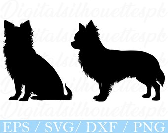 Longhaired Chihuahua Dog Svg, Chihuahua Dog Silhouette, Dxf, Png