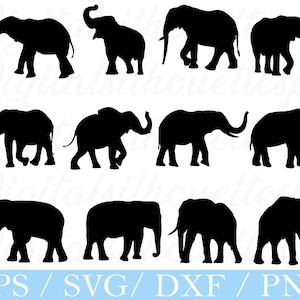 May include: Black elephant silhouettes in various poses, including walking, standing, and with raised trunks. The image includes the text "EPS / SVG / DXF / PNG" in a light blue banner at the bottom, suitable for digital art or crafts.