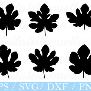 Puede incluir: Seis siluetas de hojas de higuera negras sobre un fondo blanco. Las hojas tienen una forma lobulada detallada con venas visibles. La parte inferior de la imagen contiene el texto "EPS / SVG / DXF / PNG".
