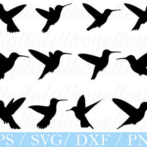 Op de afbeelding: Een verzameling zwarte silhouetten van kolibries in verschillende vliegposities. De afbeelding toont meerdere vogels met uitgespreide vleugels, die hun kenmerkende lange snavels en gestroomlijnde lichamen laten zien. De onderkant van de afbeelding toont de tekst "EPS / SVG / DXF / PNG".